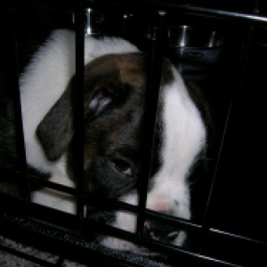 Tired baby