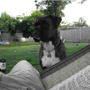 Yoda 05-05-07