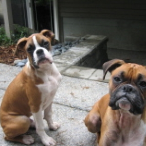 Deuce and Bella