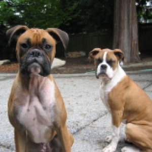 oopps.... I blinked!