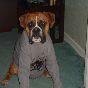 Rusty wearing an old t-shirt.