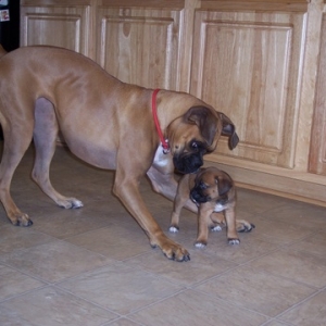 Gettin to know each other