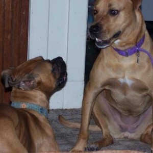 Paris and Jessie getting to know one anbother