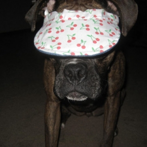 bella_hat3