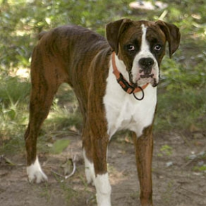 Buster All Grown Up!