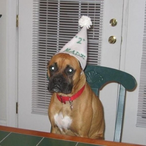 Happy B-Day to Madi !!!