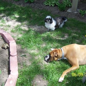 Paytons summer job :)