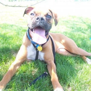 Now that's a smile!