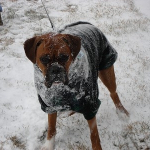 Jordan_snow