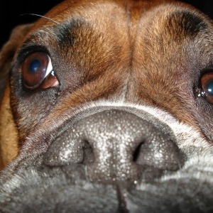 Jordan_up_close