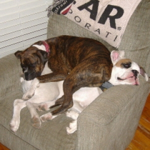 Cuddling after a hard day of play