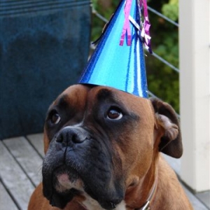 Birthday Girl with Hat
