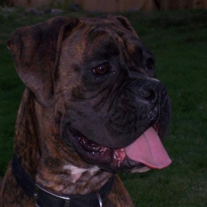 My Sweet Little Syd - 14 Month's Old