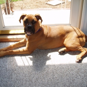 Daisy_7mths