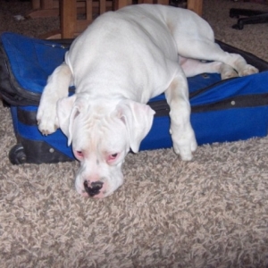 You are not leaving without me!