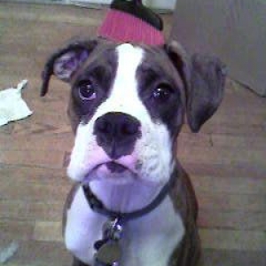 Ivy at 8 months