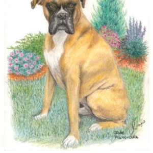 drawing_of_Jake_for_web