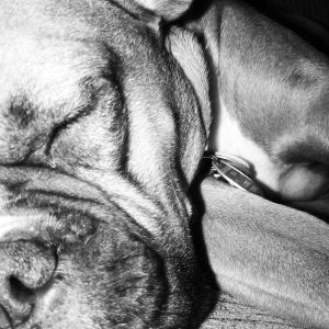 Sleeping boy