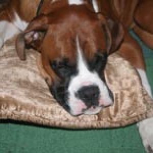 lucas_asleep