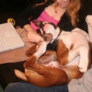 getting_comfy
