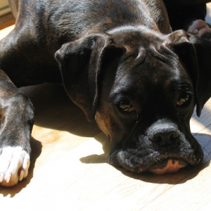 Sunbathing