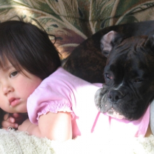 Pillow