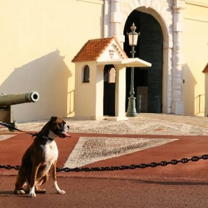 New guard?