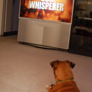 My Favorite Show!!