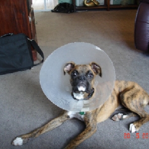Cone