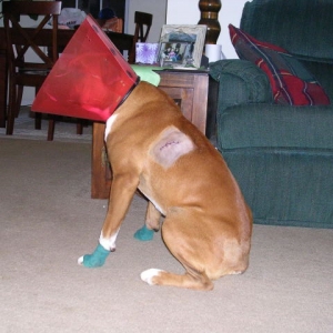 Talk to the cone