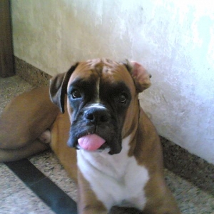 Giving you the tongue.