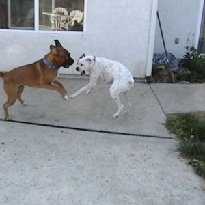 Playtime!