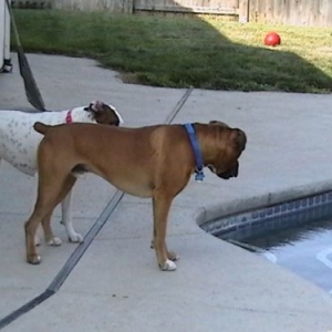 Wanna Jump In?