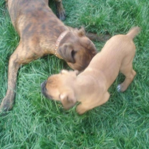 First playtime together