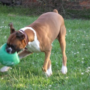 mine, mine, mine