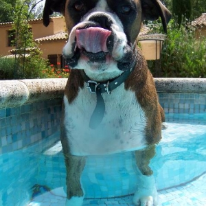 That tongue again