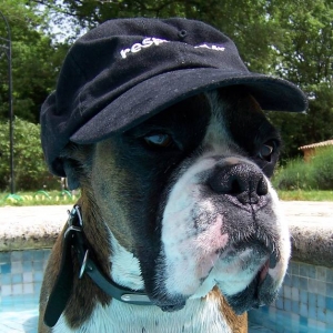 Sun protection