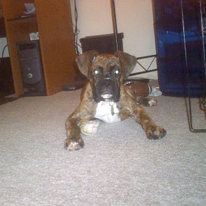 Another picture!