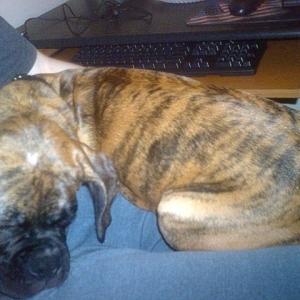 Sleeping.
