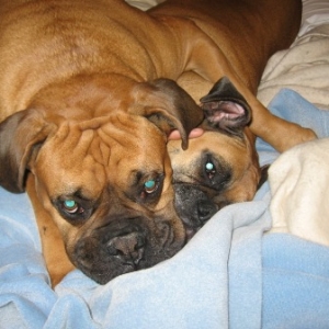 Abby and Baxter