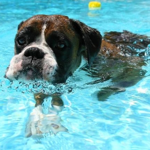 Keep paddling Henri