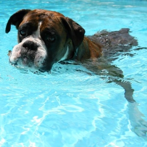 Water baby