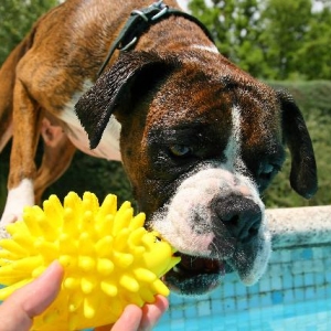 Gimme!