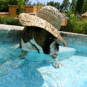 Can't see!
