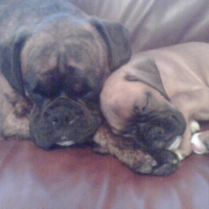 My babies