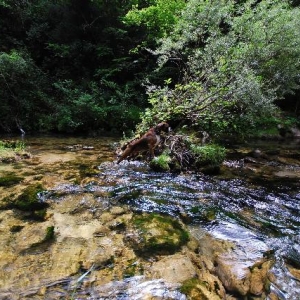 Marooned