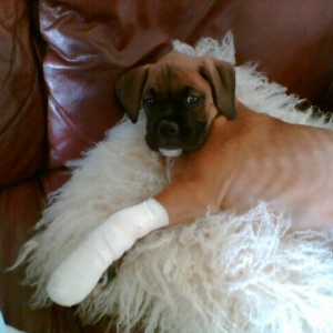 His poor foot!