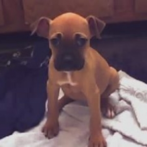 Laila's first day at home....