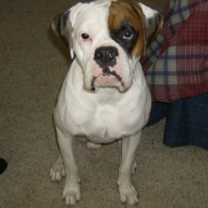 Vince at 8 months