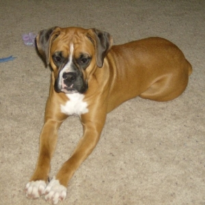 Joli 8 months